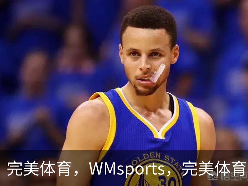 完美体育，WMsports，完美体育官方，完美体育平台，完美体育下载概况